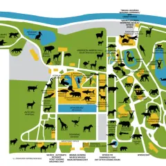 Mapa największego zoo w Polsce z zaznaczonymi zwierzętami: od lwów i tygrysów po pelikany i małpy.