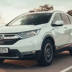 Biała Honda CRV 2025 pędzi po drodze, otoczona rozmazanymi drzewami i słońcem.