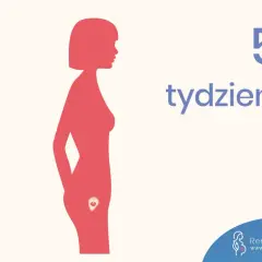 Sylwetka kobiety z zaznaczonym zarodkiem w łonie. Obok widnieje napis "5 tydzień".