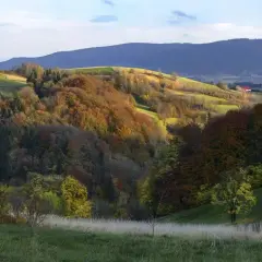 Rezerwat przyrody Madohora: unikalne atrakcje i zagrożenia ochrony