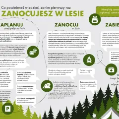 Planuj, zanocuj i zabierz z lasu. Dowiedz się, jak bezpiecznie zaplanować nocleg w lesie, co zabrać ze sobą i jak zadbać o swoje bezpieczeństwo.
