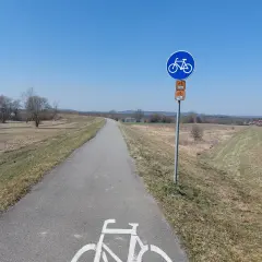 Pusta wiślana trasa rowerowa Oświęcim - Kraków, z oznakowaniem i malunkiem roweru na asfalcie.