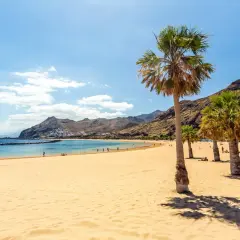 Piękna plaża z palmami i górami w tle. Idealne miejsce, by zastanowić się, kiedy najlepiej lecieć na Teneryfę.