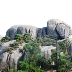 Enormes rocas de granito, los penedos de pasarela e traba, se alzan entre pinos y vegetación, con un cielo blanco de fondo.