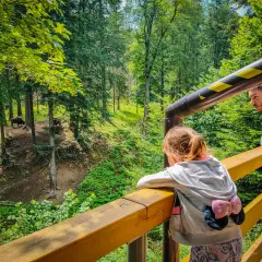 Ojciec i córka obserwują żubry w lesie. Wspaniałe atrakcje dla dzieci podkarpackie.