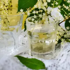 Gdzie kupić nalewkę ciechocińską z kwiatu czarnego bzu? Sprawdź!