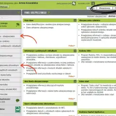 Jakie dokumenty do A1 dla kierowcy? Uniknij problemów z ubezpieczeniem