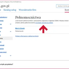 Osoba prawna pełnomocnikiem? Kompletny poradnik prawny dla biznesu