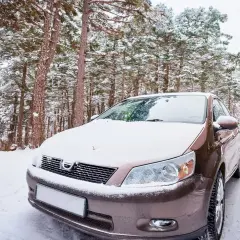 Voiture marron dans la neige, au milieu d'une forêt de pins enneigée. Le frein à main bloqué rend la situation délicate.