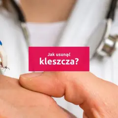 Usuwanie kleszcza specjalnym przyrządem. Tekst: "Jak usunąć kleszcza?".