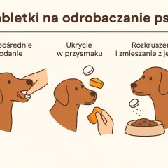 Jak szybko działa tabletka na robaki dla psa? Trzy sposoby podania: bezpośrednio, w przysmaku, lub rozkruszona z jedzeniem.
