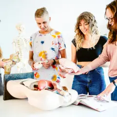 Fizjoterapia co na maturze: kluczowe przedmioty, które musisz znać
