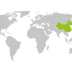 Mapa świata z zaznaczonym na zielono krajem. To Chiny, cel Twojej paczki do Chin.