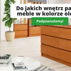 Olcha w salonie: Jak dobrać idealny kolor ścian? Poradnik