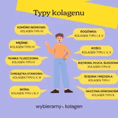 Ilustracja przedstawia różne typy kolagenu i ich lokalizację w organizmie. Kolagen typu I występuje w skórze, kościach i ścięgnach.