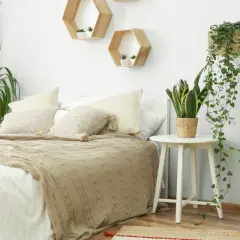 Gemütliches Schlafzimmer mit vielen grünen Pflanzen. Hängende Efeutriebe und eine Bogenhanfpflanze auf einem Beistelltisch schaffen eine entspannte Atmosphäre.