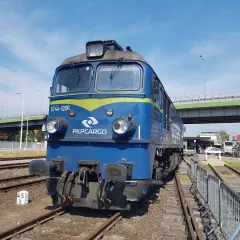 Niebieska lokomotywa PKPCargo ST44-1206 na torach w Kutnie, pod zielonym wiaduktem.