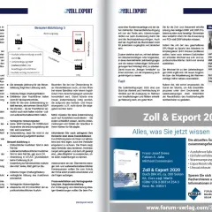 Zollanmeldung: Beispiele und Risiken bei der Wahl von Lieferbedingungen. Der Text erklärt die Bedeutung der Zollanmeldung.
