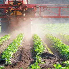Traktor opryskuje pole ziemniaków. Zastanawiasz się, jak długo Roundup pozostaje w glebie? Badania wskazują, że jego rozkład zależy od wielu czynników.