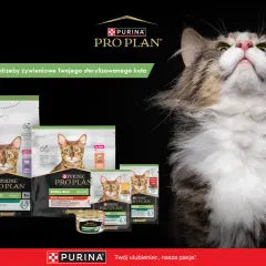 Czy Purina to dobra karma dla kota? Pro Plan oferuje specjalistyczne żywienie dla sterylizowanych kotów, dbając o ich zdrowie.