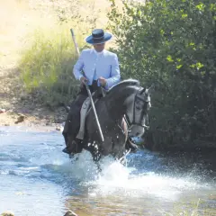 Un jinete con sombrero cordobés y traje claro cruza un río, su caballo salpica agua. Es parte del trabajo mayoral con ganado bravo.