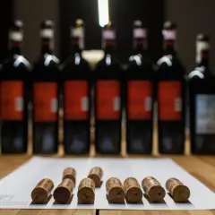 Rząd butelek wina, w tym wino brunello, i korki na papierze.