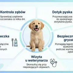 Uroczy szczeniak golden retrievera z szerokim uśmiechem, prezentujący zdrowe siekacze u psa. Grafika zawiera wskazówki dotyczące pielęgnacji zębów, gryzaków i wizyt u weterynarza.
