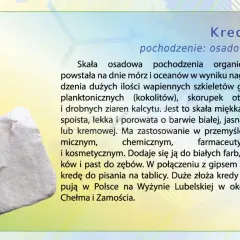 Biała, porowata skała, czyli kreda, powstała z wapiennych szczątków organizmów morskich. Jest miękka i lekka, używana w przemyśle ceramicznym, chemicznym i kosmetycznym.