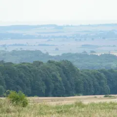 Rozległy krajobraz z zielonymi wzgórzami strzelińskimi w oddali, pokrytymi lasami i polami.