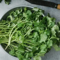 En skål med färsk vietnamesisk koriander, redo att användas i en smakrik asiatisk rätt. En kniv ligger bredvid.