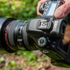 Ile zarabia dobry fotograf w Polsce? Zaskakujące fakty o dochodach