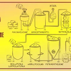 Schema di produzione della birra: macinazione malto, ammostamento, separazione, bollitura, luppolatura, whirlpooling, fermentazione. Nasce una birra ad alta fermentazione!