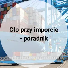 Kontenerowiec w porcie, dźwigi i wózek do przewozu kontenerów. Poradnik o tym, jak zapłacić cło przy imporcie.