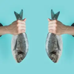 Manos sacan dos peces fuera del agua, como si soñar con peces fuera del agua fuera posible.