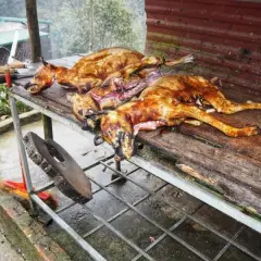W jakim kraju jedzą psy? Zaskakujące tradycje kulinarne świata