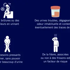 Symptômes d'infection urinaire : brûlures, urines troubles, odeur inhabituelle, besoin urgent d'uriner, fièvre. L'escherichia coli est une cause fréquente.