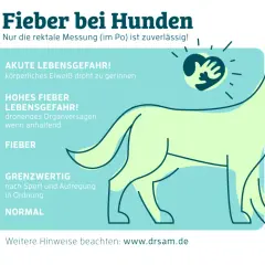 Thermometer zeigt Fieber bei Hunden: ab 39,5° Fieber, ab 41° Lebensgefahr. Symptome erkennen!