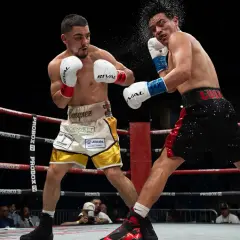 Two boxers clash in the ring. One lands a punch, sending sweat flying. This intense moment could lead to a unanimous decision in boxing if all judges score it for one fighter.