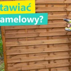 Płot lamelowy: Jak malować, by służył latami? Wybór i błędy