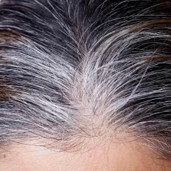 Gros plan sur des cheveux mi-bruns, mi-blancs. Un temps de pause coloration cheveux blancs est peut-être en cours, laissant apparaître des mèches argentées naturelles.