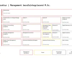 Studienstruktur M.Sc. Management berufsintegrierend: Übersicht über Module,ECTS und SWS für das berufsbegleitende Studium in Mainz.