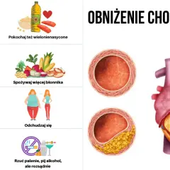 Jaki cholesterol – poznaj jego rodzaje i jak obniżyć ryzyko chorób