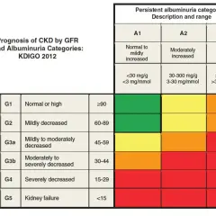 Tabela prognozy CKD wg GFR i albuminurii. GFR 60ml/min/1.73 m² oznacza łagodnie zmniejszoną funkcję nerek (G2).