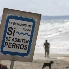 Cartel en la playa: "Sí, se admiten perros". Un hombre y su perro disfrutan de la playa para perros cerca.