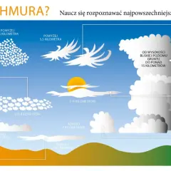 Ilustracja przedstawia różne rodzaje chmur, od wysokich cirrusów po burzowe cumulonimbusy, pomagając rozpoznać typy chmur.