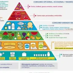 La pirámide de alimentación saludable muestra grupos de alimentos y su consumo diario, opcional o moderado.