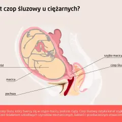 Schemat przedstawia płód w macicy, szyjkę macicy i czop śluzowy zamykający jej kanał, chroniący przed infekcjami.