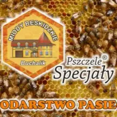 Ile kosztuje słoik miodu? Sprawdź ceny i różnice regionalne