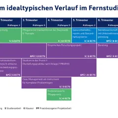 Struktur eines Fernlehrgangs Pflege über 7 Trimester, mit Modulen wie Grundlagen, Interventionen, Gesundheitsökonomie und Bachelorarbeit.
