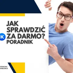Mężczyzna w okularach wskazuje na napis "Jak sprawdzić BIK za darmo? Poradnik".